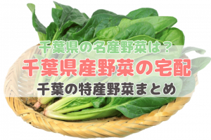 千葉県産野菜