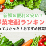 野菜宅配おすすめランキング【おいしい・安全・安い野菜通販比較！オーガニック・有機・無農薬】