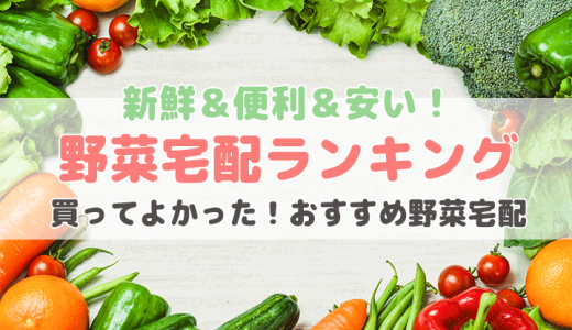 野菜宅配おすすめランキング【おいしい・安全・安い野菜通販比較！オーガニック・有機・無農薬】